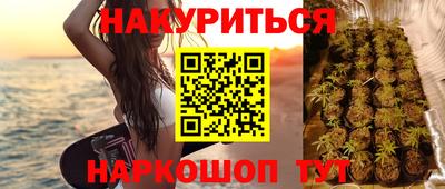 шишки Коммунар